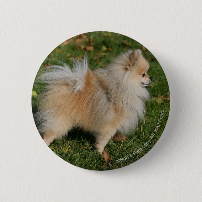 Pomeranian Standing 2 Inch Round Button (Front)