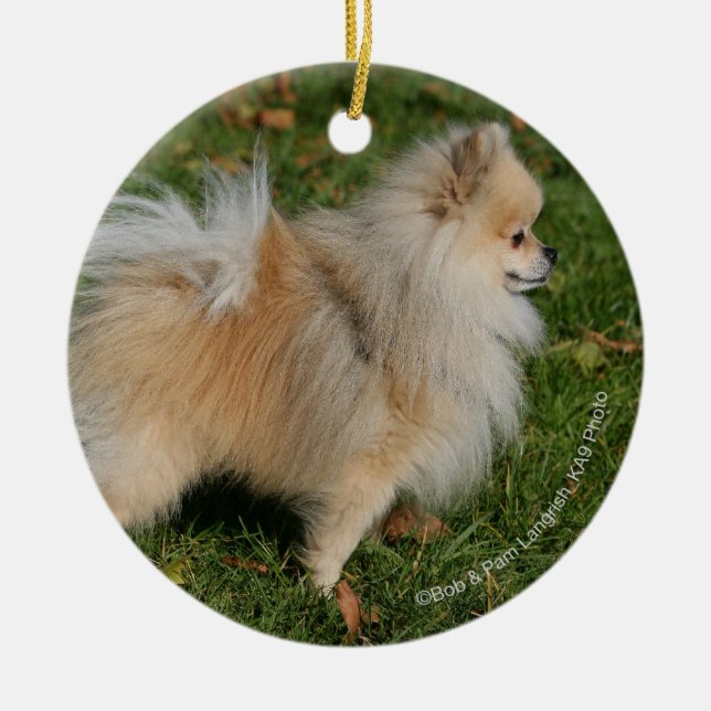 Pomeranian Standing Ceramic Ornament (Front)