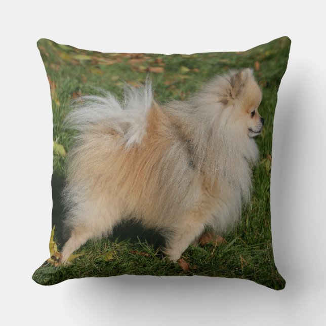 Pomeranian Standing Throw Pillow (Front)