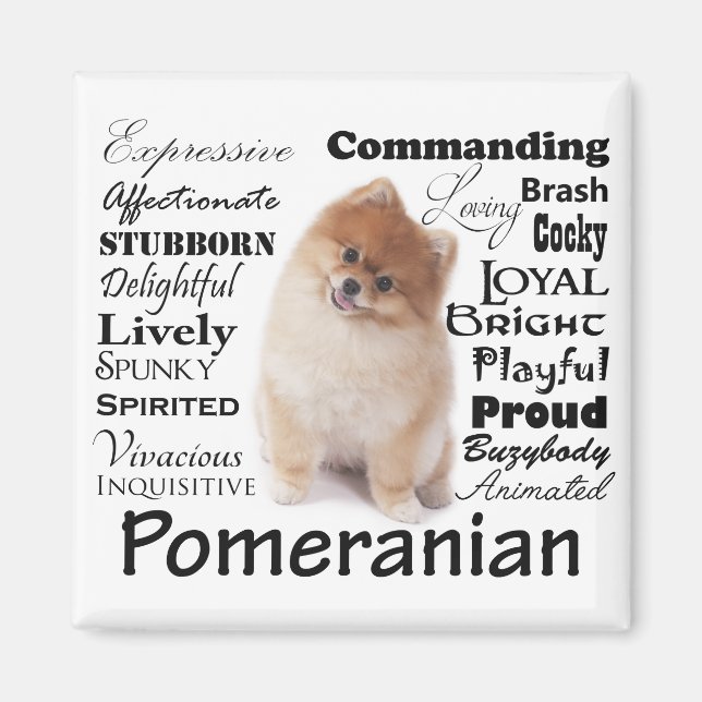 Pomeranian Traits Magnet (Front)