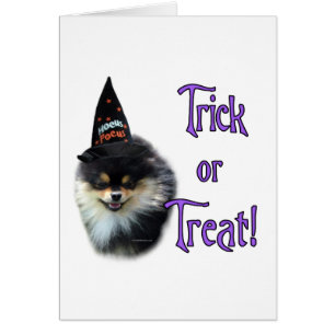 Pomeranian Trick