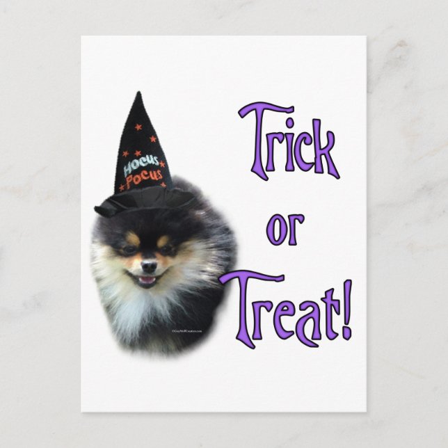 Pomeranian Trick Postcard (Front)