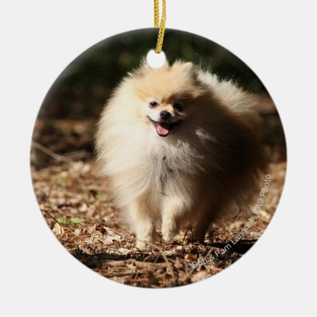 Pomeranian Trotting in the Fallen Leaves Ceramic Ornament (Front)