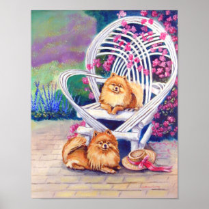 Pomeranian Wall Print