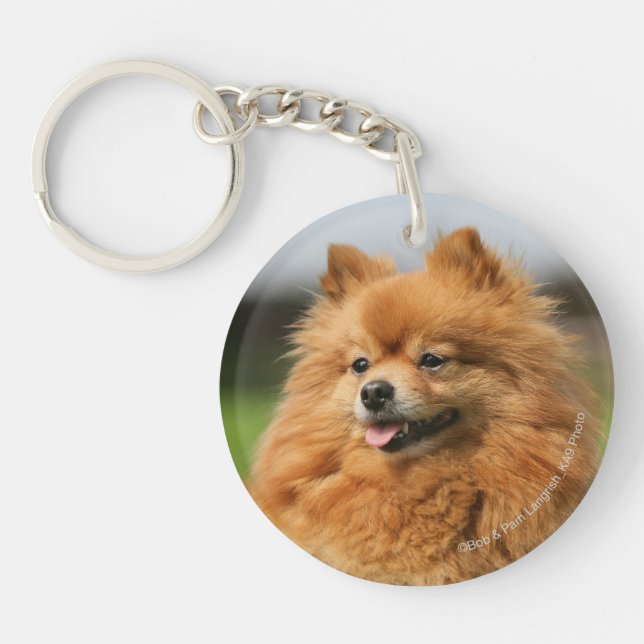 Pomeranian Watching Keychain (Front)