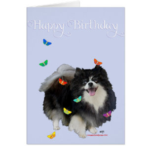 Pomeranian with Butterflies