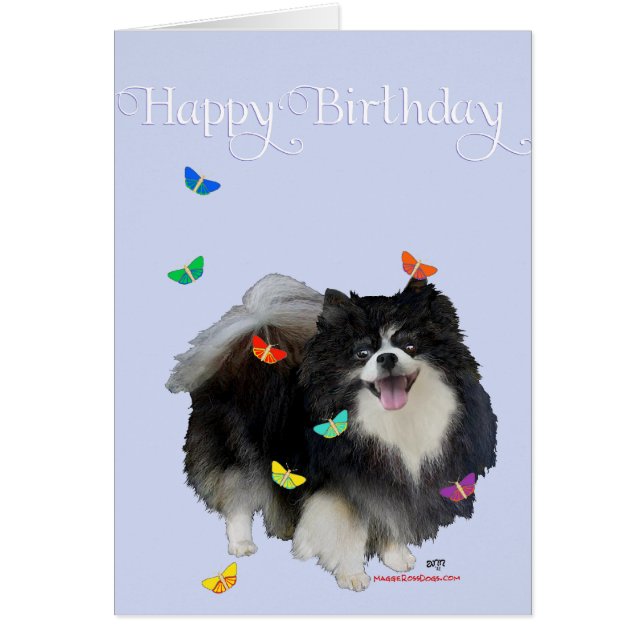 Pomeranian with Butterflies (Front)