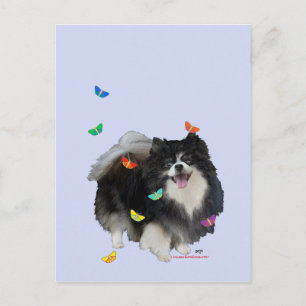 Pomeranian with Butterflies Postcard