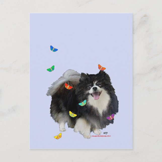 Pomeranian with Butterflies Postcard (Front)