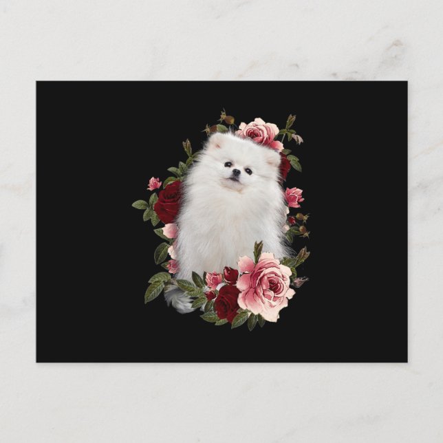Pomeranian With Flower Postcard (Front)