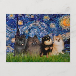 Pomeranians (four) - Starry Night Postcard
