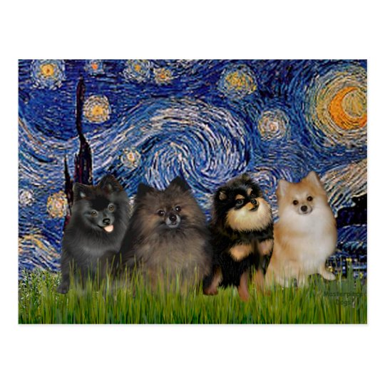 Pomeranians (four) - Starry Night Postcard