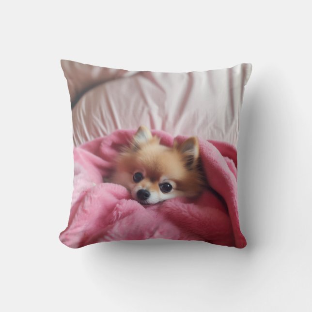 Poméranie Compagnon Coussin rose Accent (Recto)