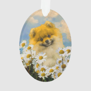 Poméranie dans la peinture de Chiens - Art origina