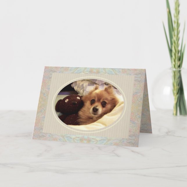 Poméranie et ours en peluche Obtenez une carte de  (Devant)