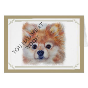 POMERANIEN EN OR CUTE