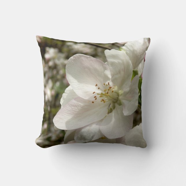 Pomme Fleur Jeter Coussin (Recto)