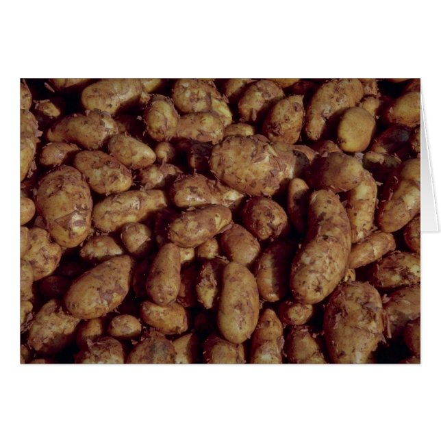 Pommes de terre (Devant horizontal)