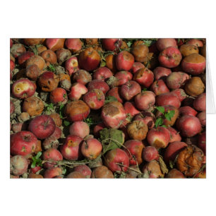 Pommes pourries