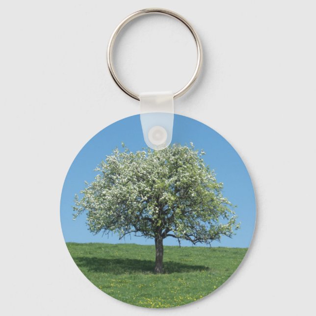 pommier keychain (Front)