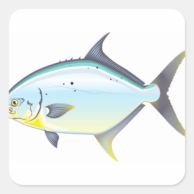 Pompano Florida fish vector illustration Square Sticker (Front)