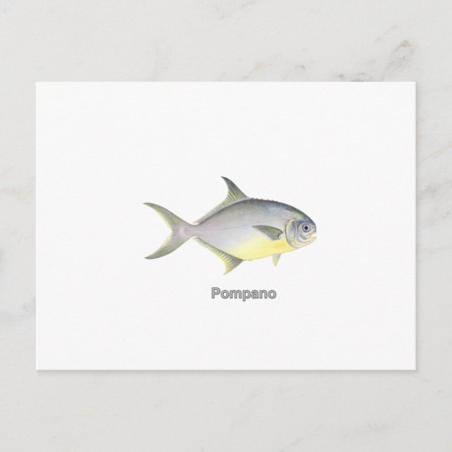 Pompano (titled) postcard (Front)