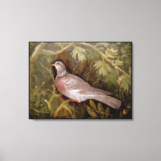 POMPEII COLLECTION / DOVE IN THE GARDEN CANVAS PRINT (Front)