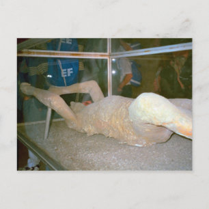 Pompeii, One of the residents caught in the ash Postcard