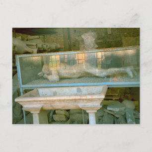 Pompeii, Resident 70CE Postcard