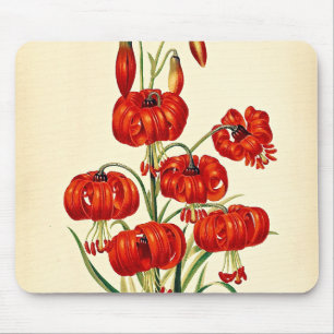 Pompone Red Lily Vintage Botanical Mouse Pad