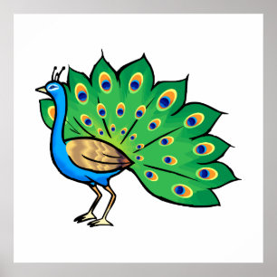 Ponce Peacock Poster