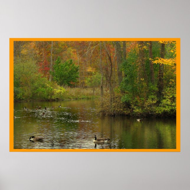Pond at Sapsucker Woods Poster (Front)
