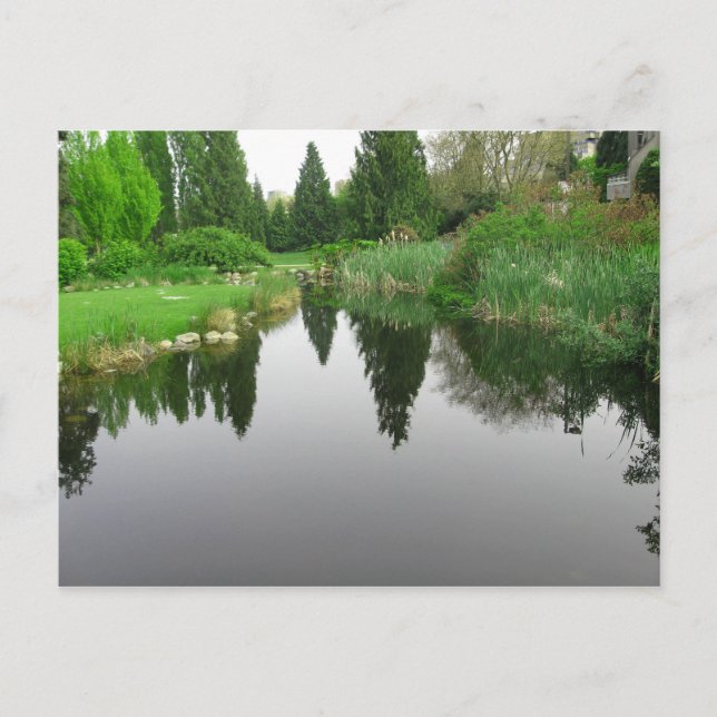 Pond at Vancouver, BC Postcard (Front)