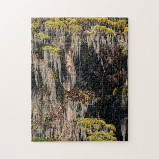 Pond Cypress in Flooded Swamp Jigsaw Puzzle (Vertical)