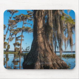 Pond Cypress Tree in a Swamp Mouse Pad