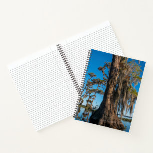Pond Cypress Tree in a Swamp Notebook