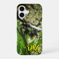 Pond Dragon Dragonfly