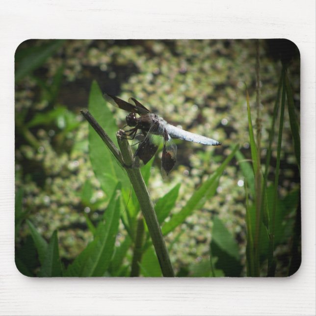 Pond Dragon Mouse Pad (Front)