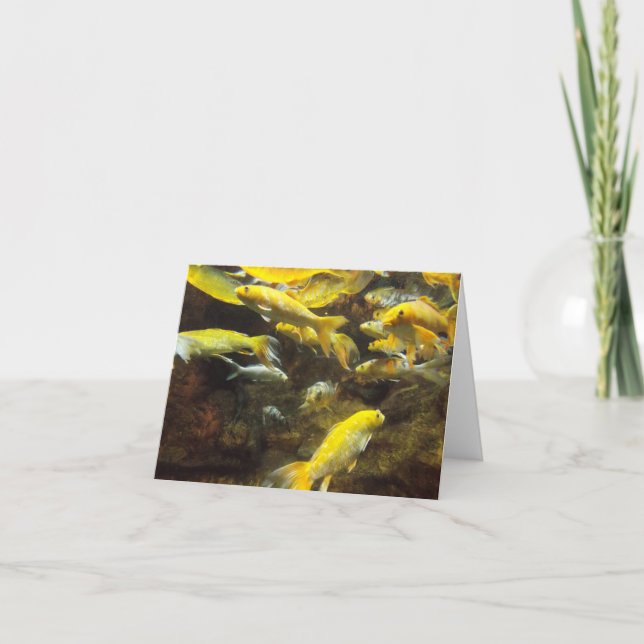 Pond Fodder Card (Front)