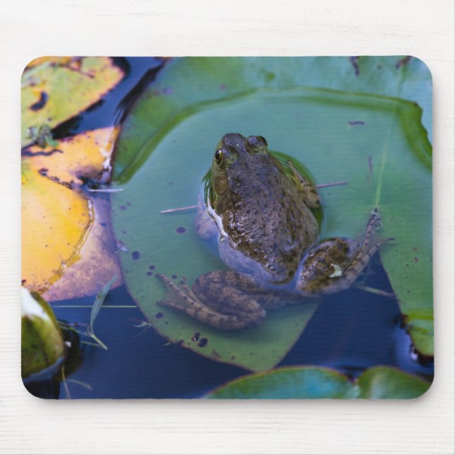 Pond Frog Mouse Pad (Front)