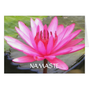 Pond Lotus Tranquillity l Namaste