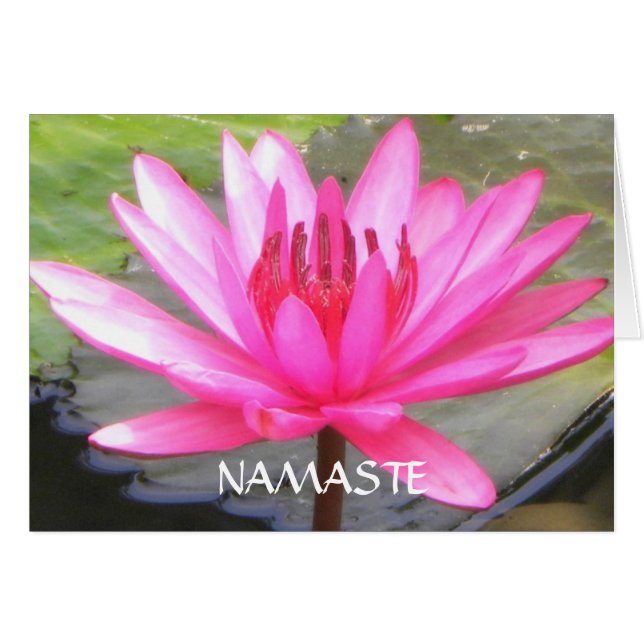 Pond Lotus Tranquillity l Namaste (Front Horizontal)