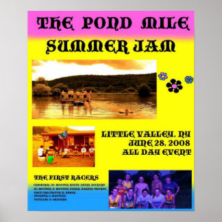 Pond Mile 1 Poster Large