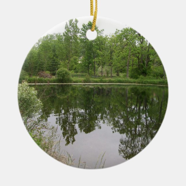 Pond Ornament (Front)