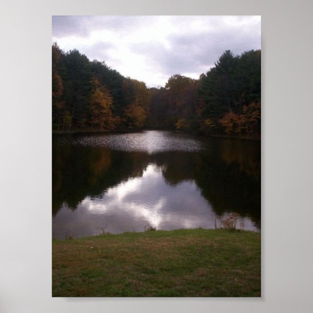 Pond Poster (Front)