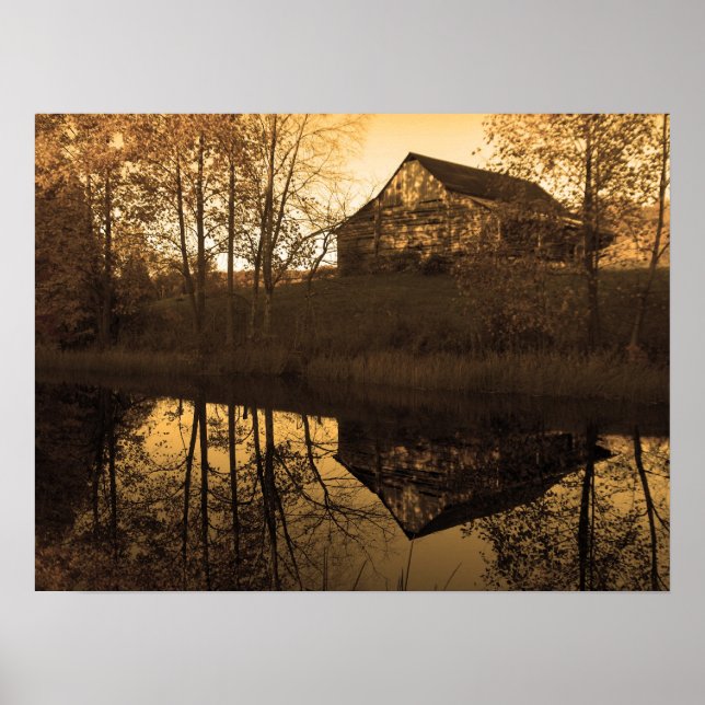 Pond Reflections Poster (Front)