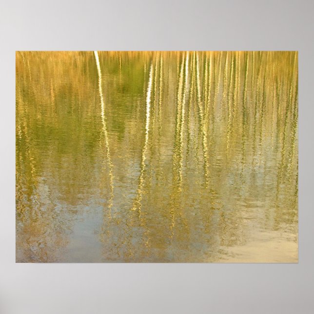 Pond Reflections Poster (Front)