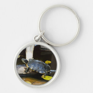 Pond slider turtle in the wild keychain
