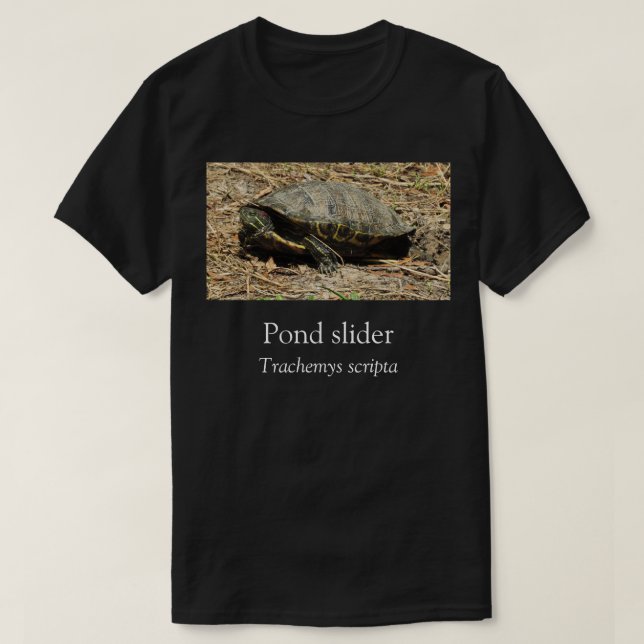 Pond Slider Turtle T-shirt noir (Design devant)