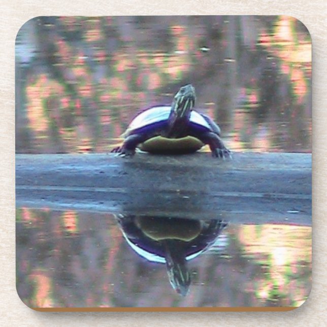 Pond Turtle Reflection Coaster (Front)